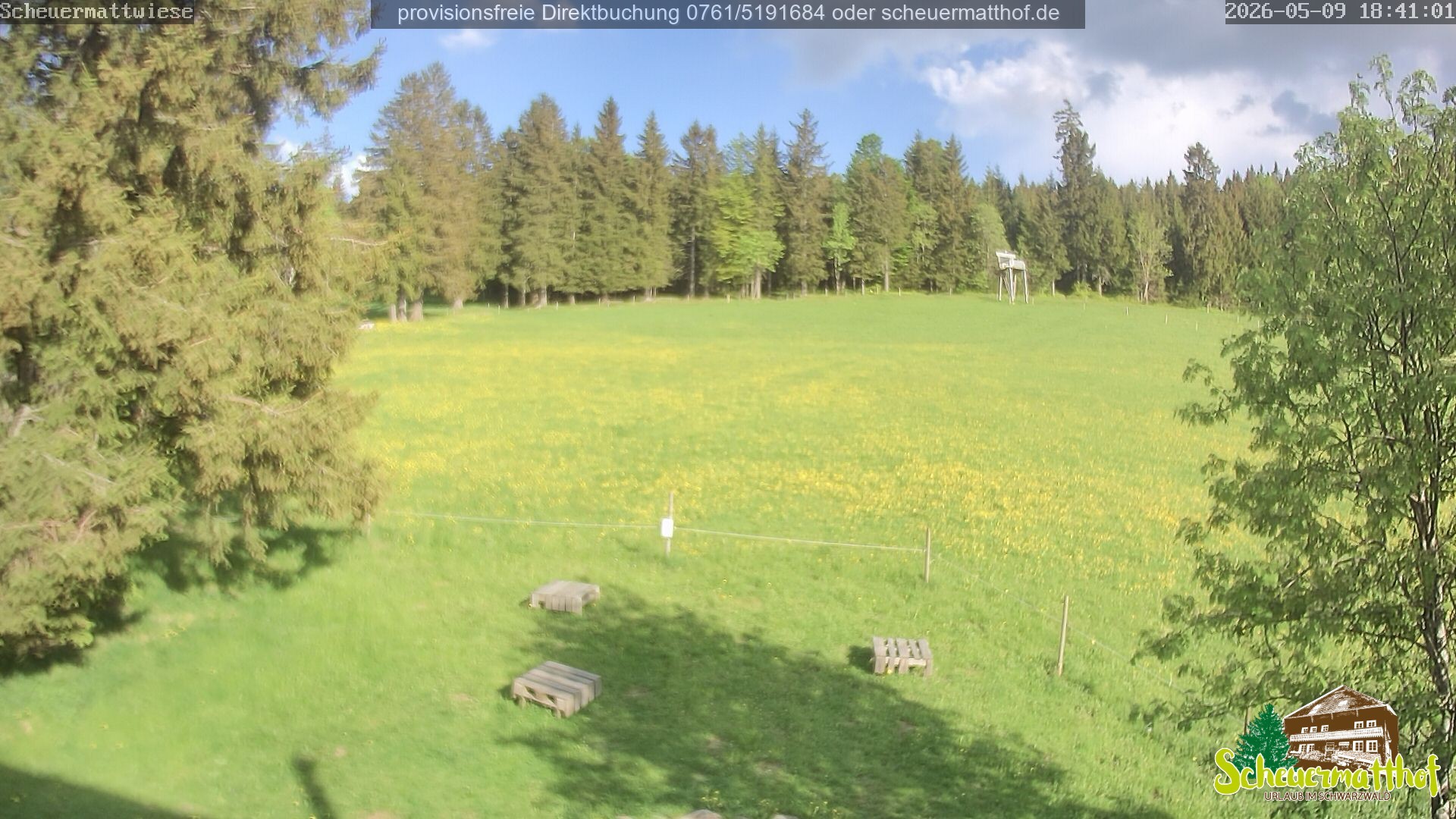 Archiv Foto Webcam Todtnauberg - Scheuermattwiese