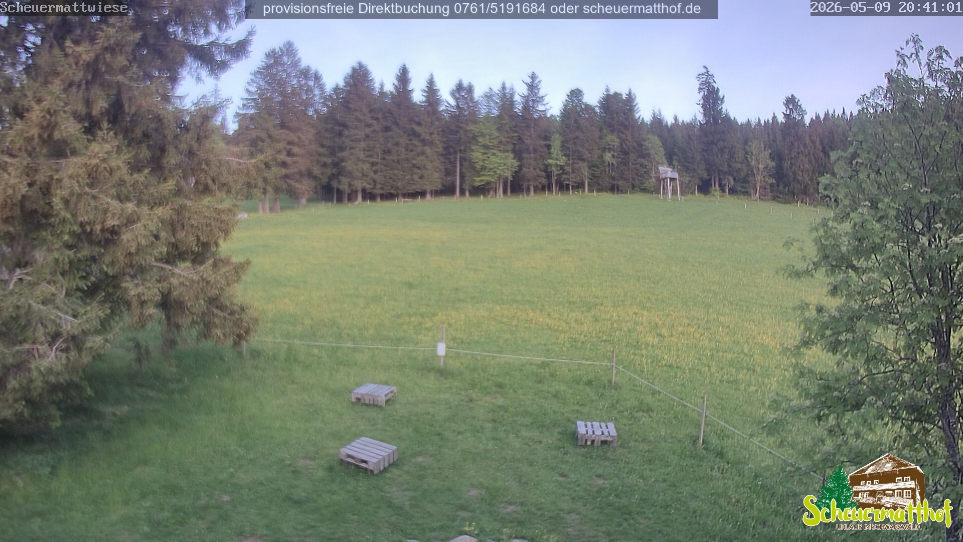 Archiv Foto Webcam Todtnauberg - Scheuermattwiese