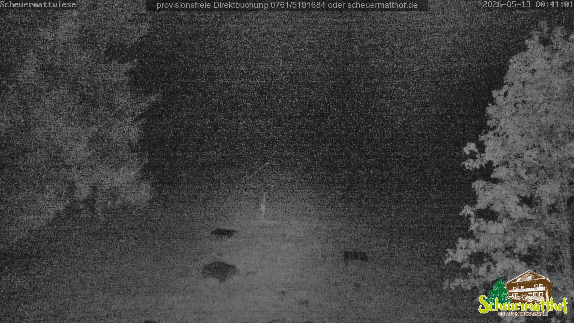 Archiv Foto Webcam Todtnauberg - Scheuermattwiese