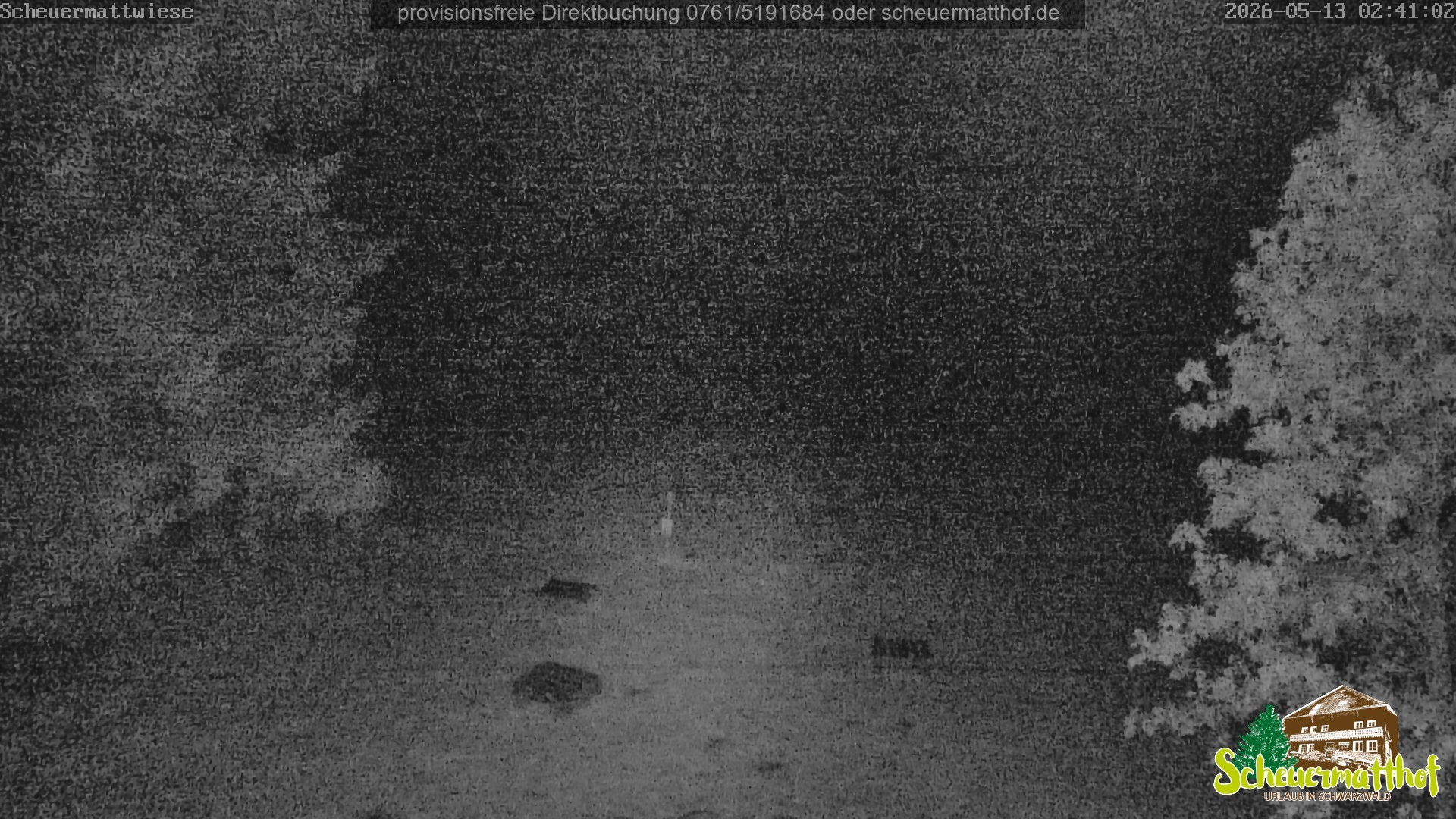 Archiv Foto Webcam Todtnauberg - Scheuermattwiese