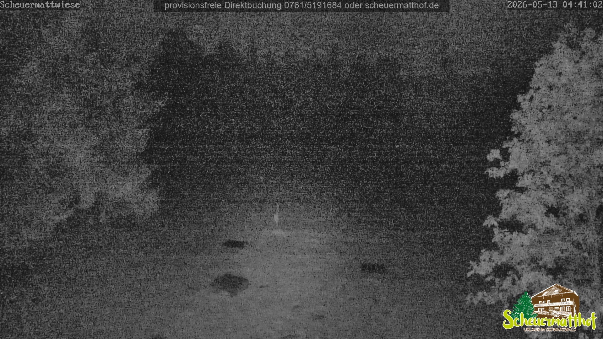 Archiv Foto Webcam Todtnauberg - Scheuermattwiese