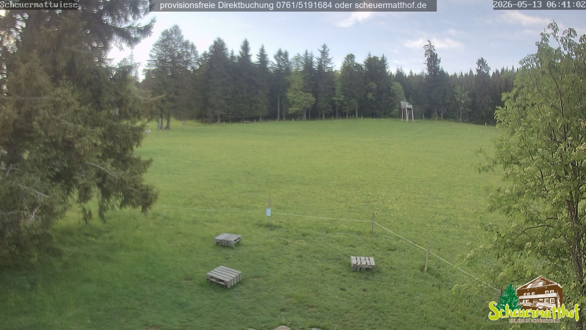 Archiv Foto Webcam Todtnauberg - Scheuermattwiese