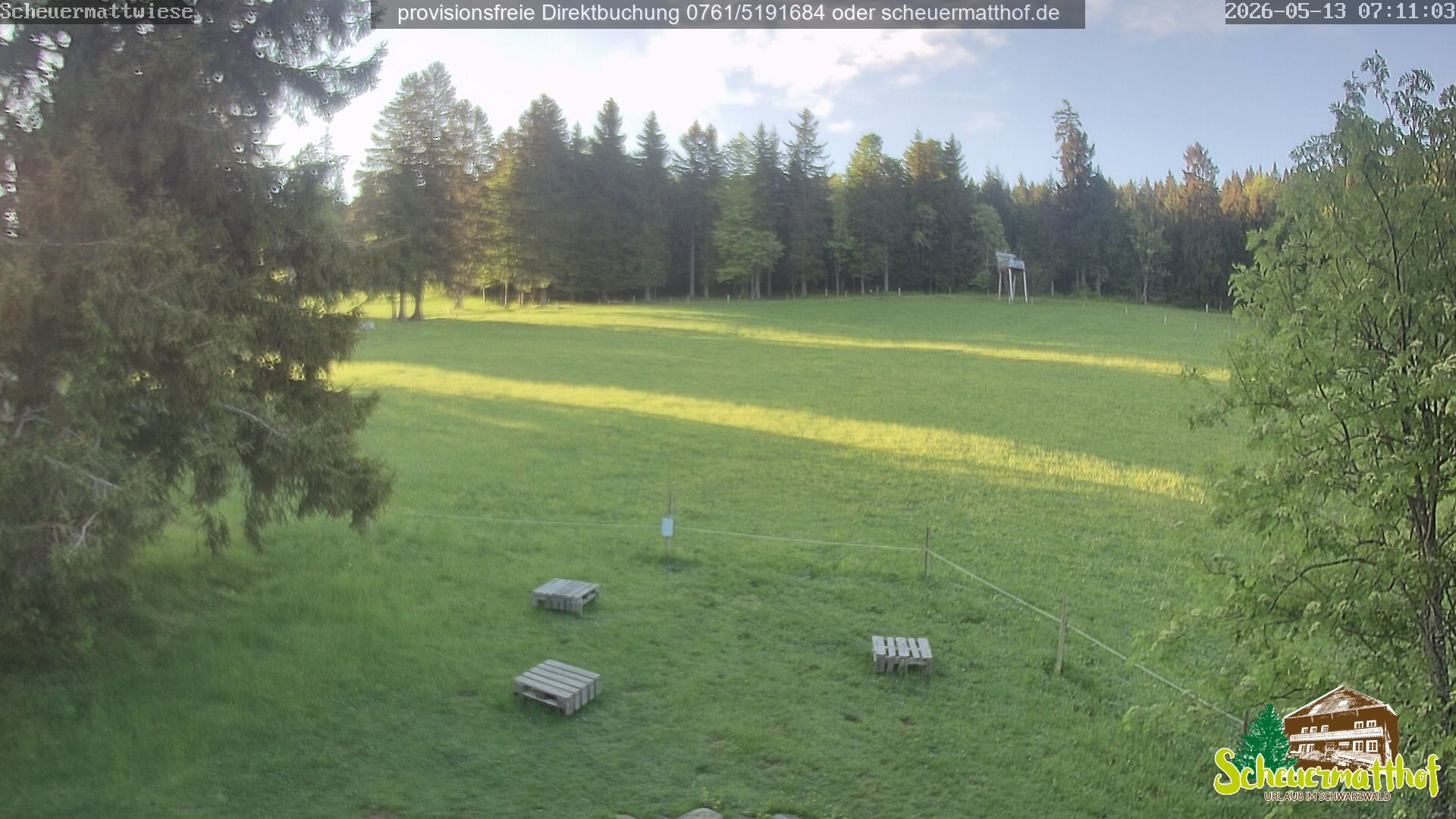 Archiv Foto Webcam Todtnauberg - Scheuermattwiese