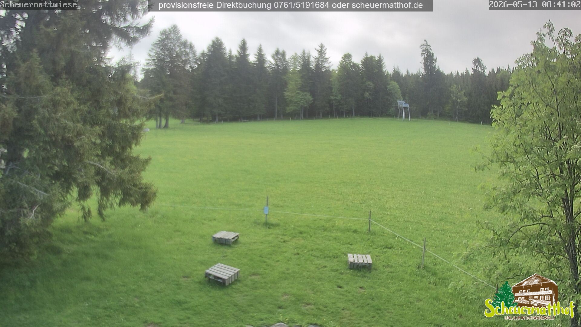 Archiv Foto Webcam Todtnauberg - Scheuermattwiese