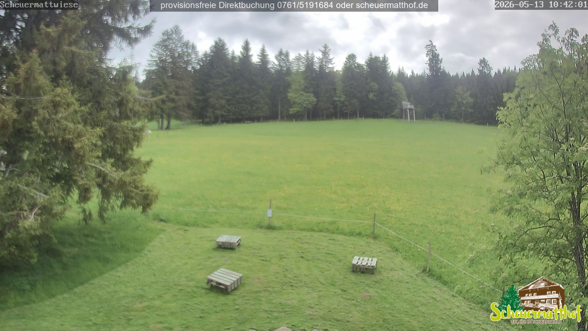Archiv Foto Webcam Todtnauberg - Scheuermattwiese