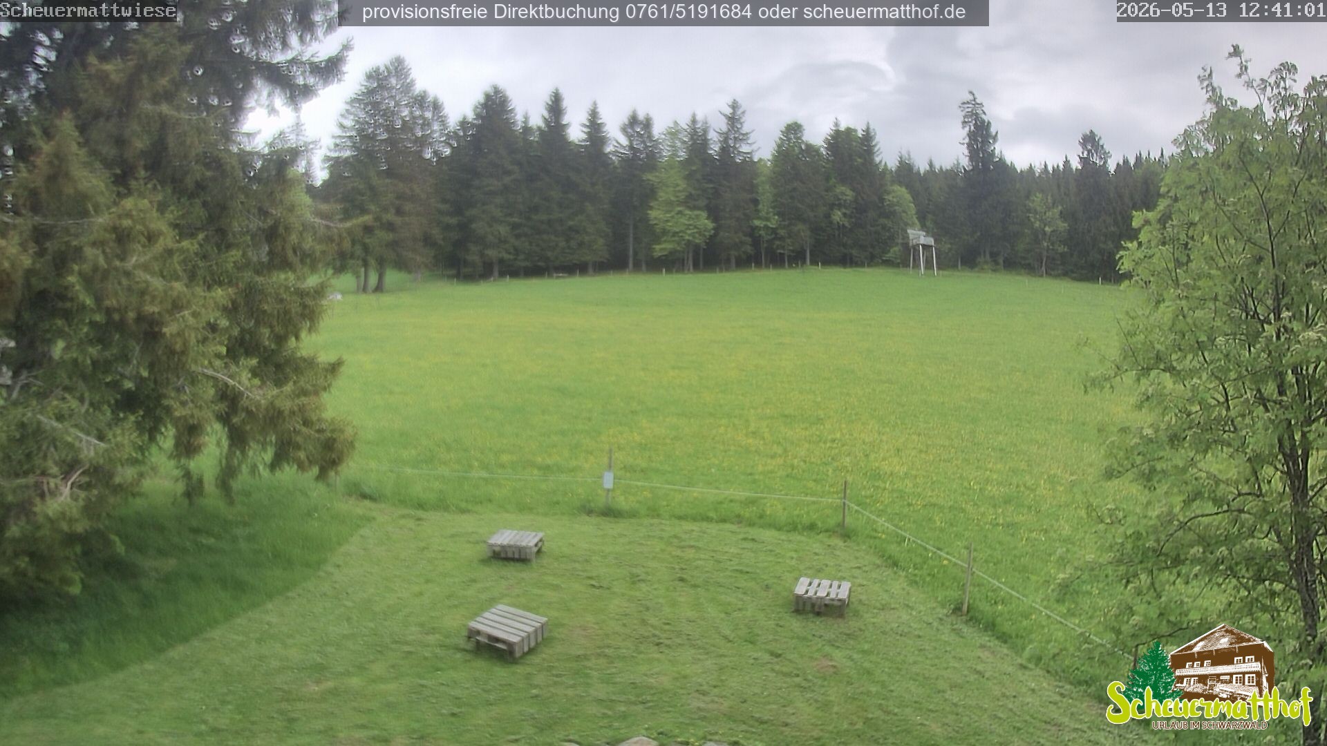 Archiv Foto Webcam Todtnauberg - Scheuermattwiese