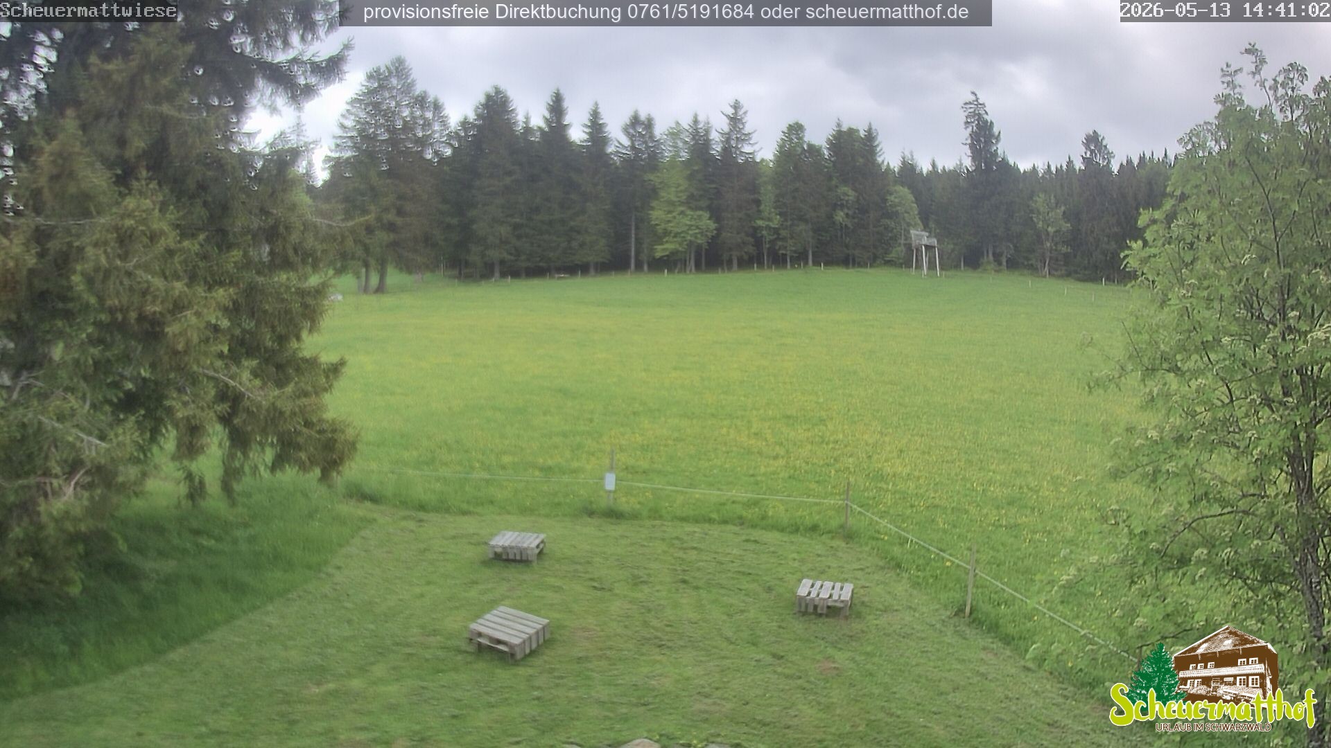 Archiv Foto Webcam Todtnauberg - Scheuermattwiese