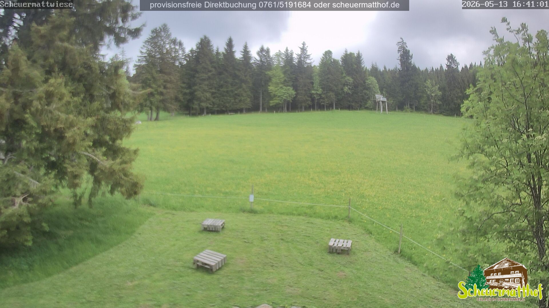 Archiv Foto Webcam Todtnauberg - Scheuermattwiese