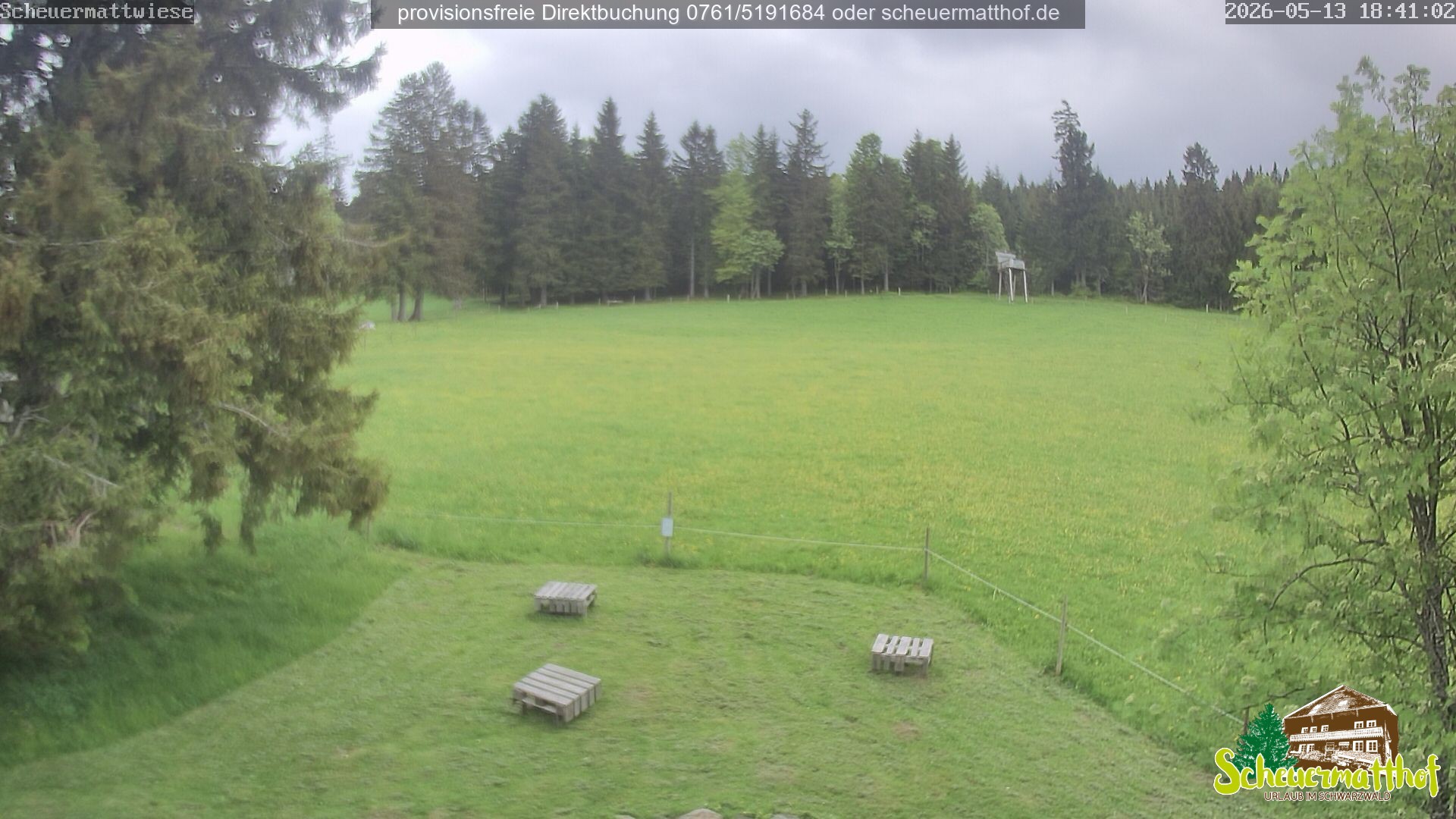 Archiv Foto Webcam Todtnauberg - Scheuermattwiese