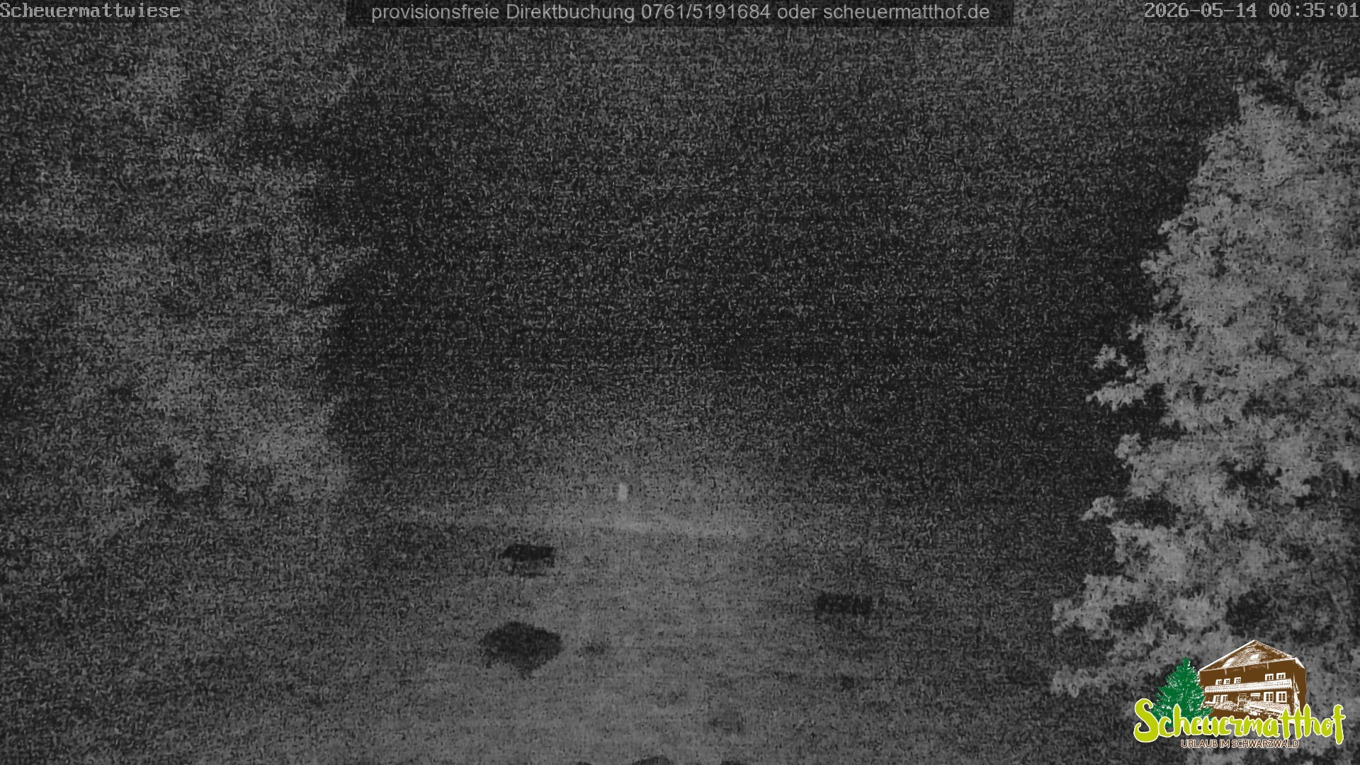 Archived image Webcam Todtnauberg - Scheuermatthof