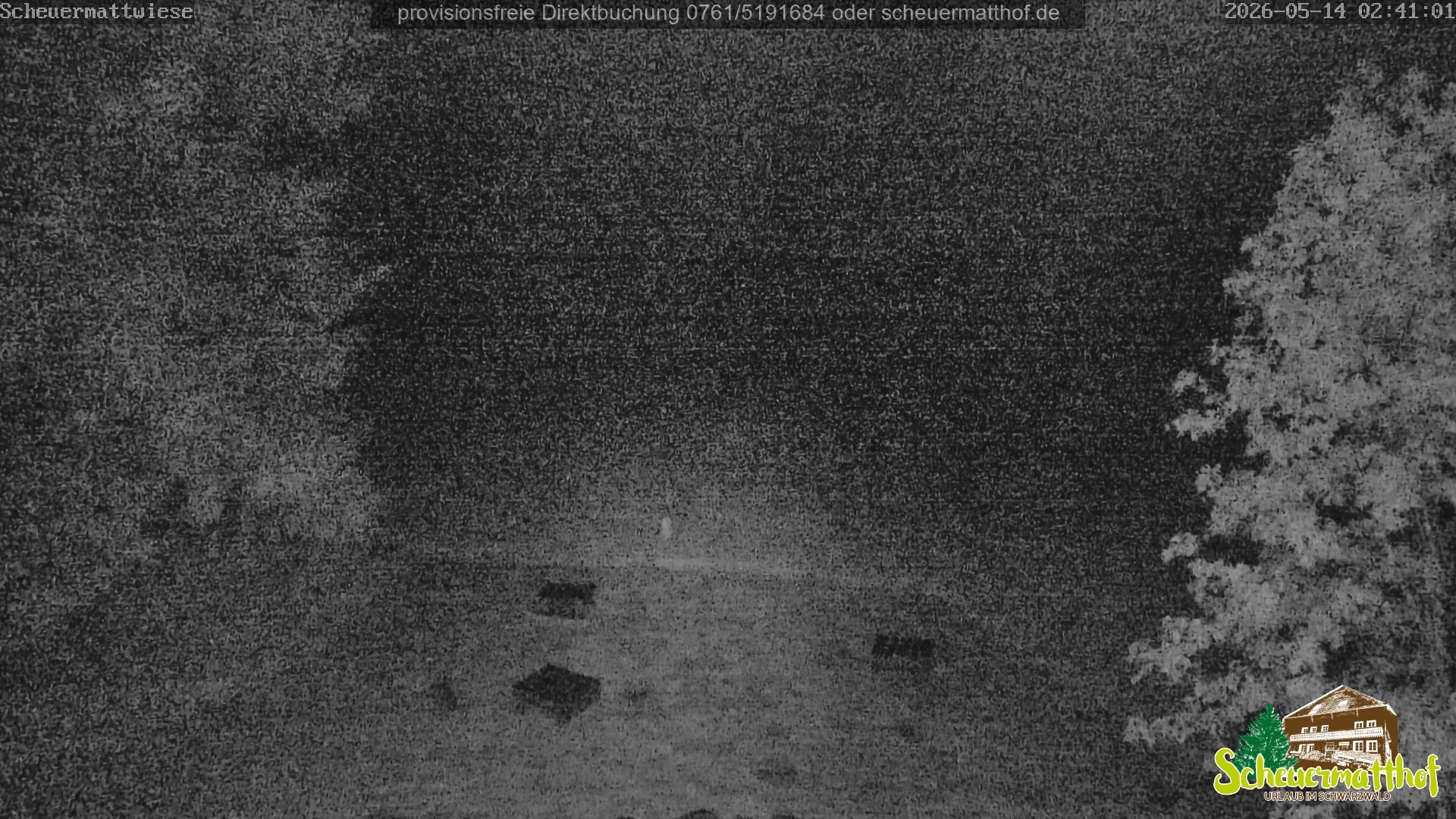 Archived image Webcam Todtnauberg - Scheuermatthof
