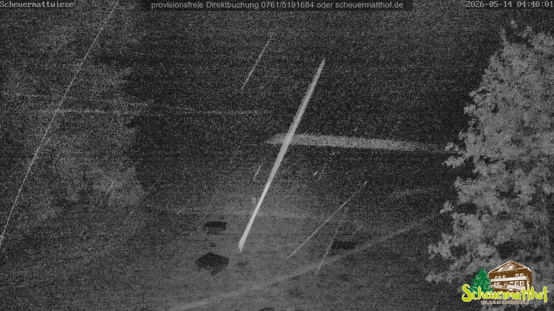 Archived image Webcam Todtnauberg - Scheuermatthof