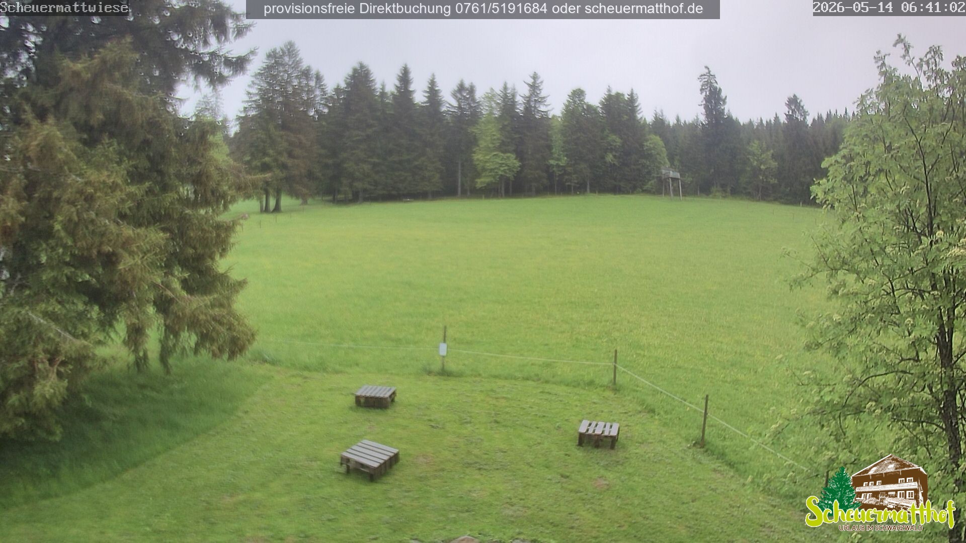 Archived image Webcam Todtnauberg - Scheuermatthof