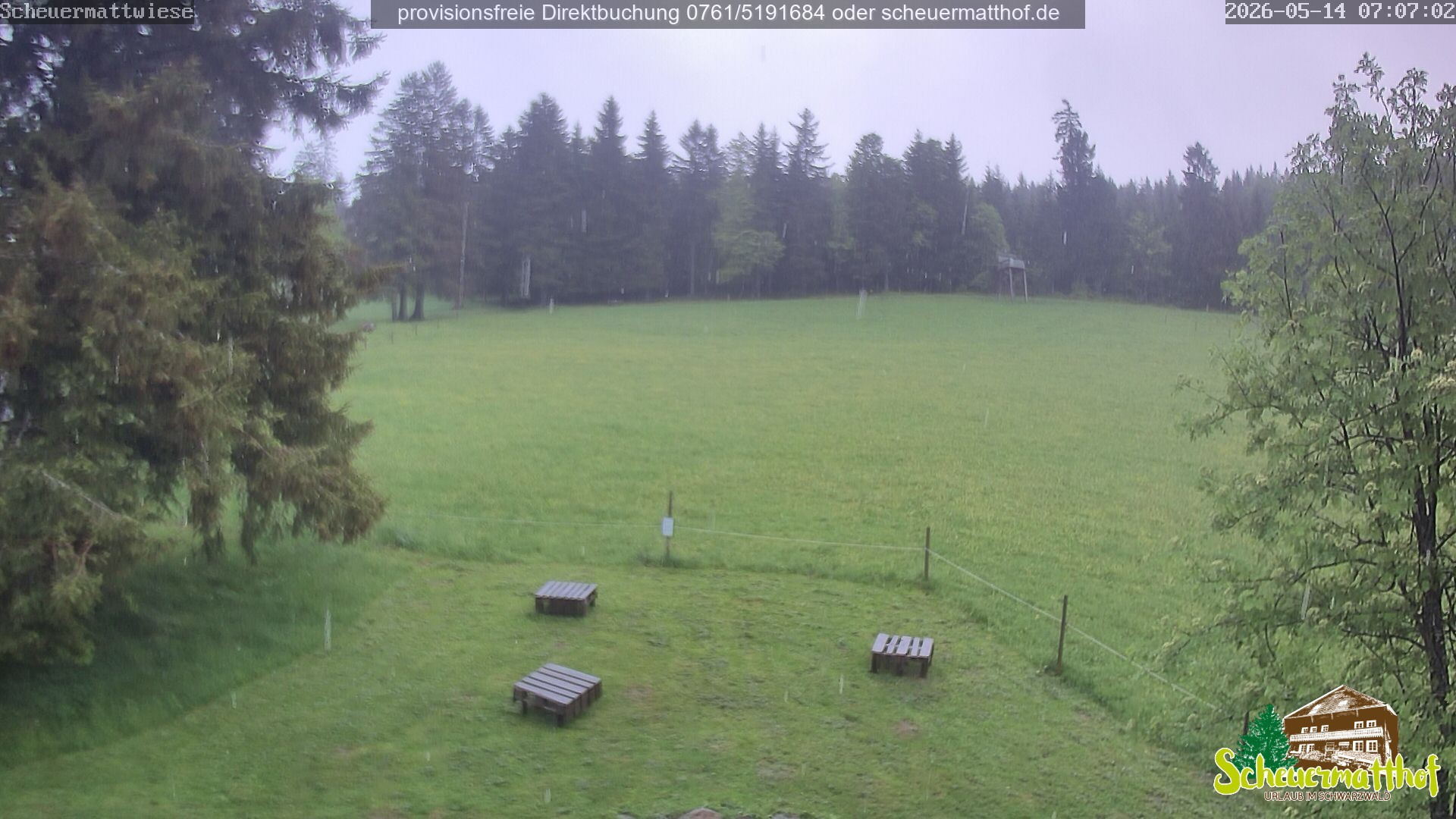 Archived image Webcam Todtnauberg - Scheuermatthof
