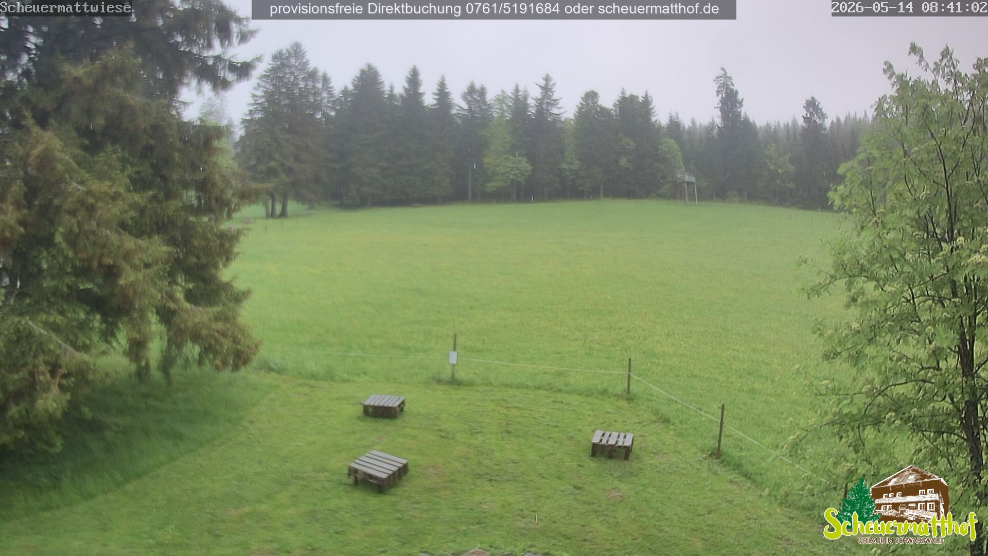 Archived image Webcam Todtnauberg - Scheuermatthof