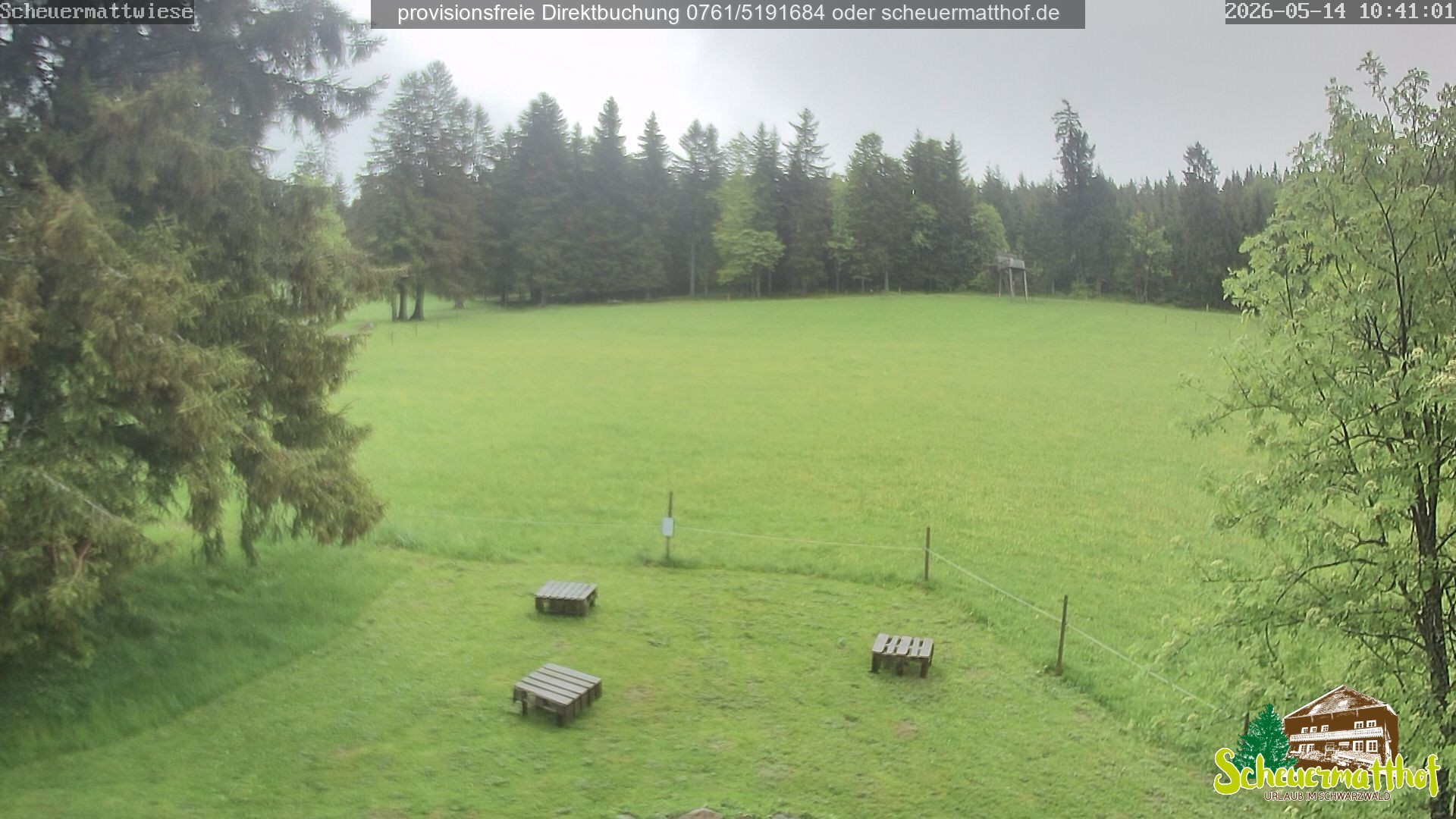 Archived image Webcam Todtnauberg - Scheuermatthof