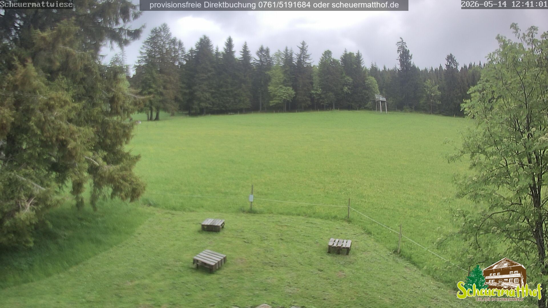 Archived image Webcam Todtnauberg - Scheuermatthof
