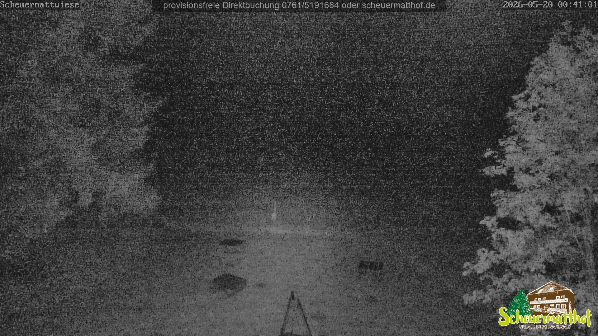 Archiv Foto Webcam Todtnauberg - Scheuermattwiese