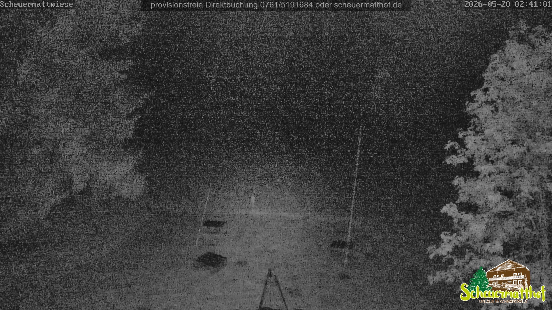 Archiv Foto Webcam Todtnauberg - Scheuermattwiese