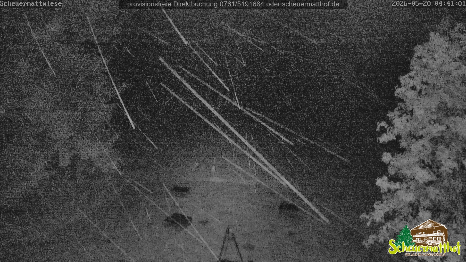 Archiv Foto Webcam Todtnauberg - Scheuermattwiese