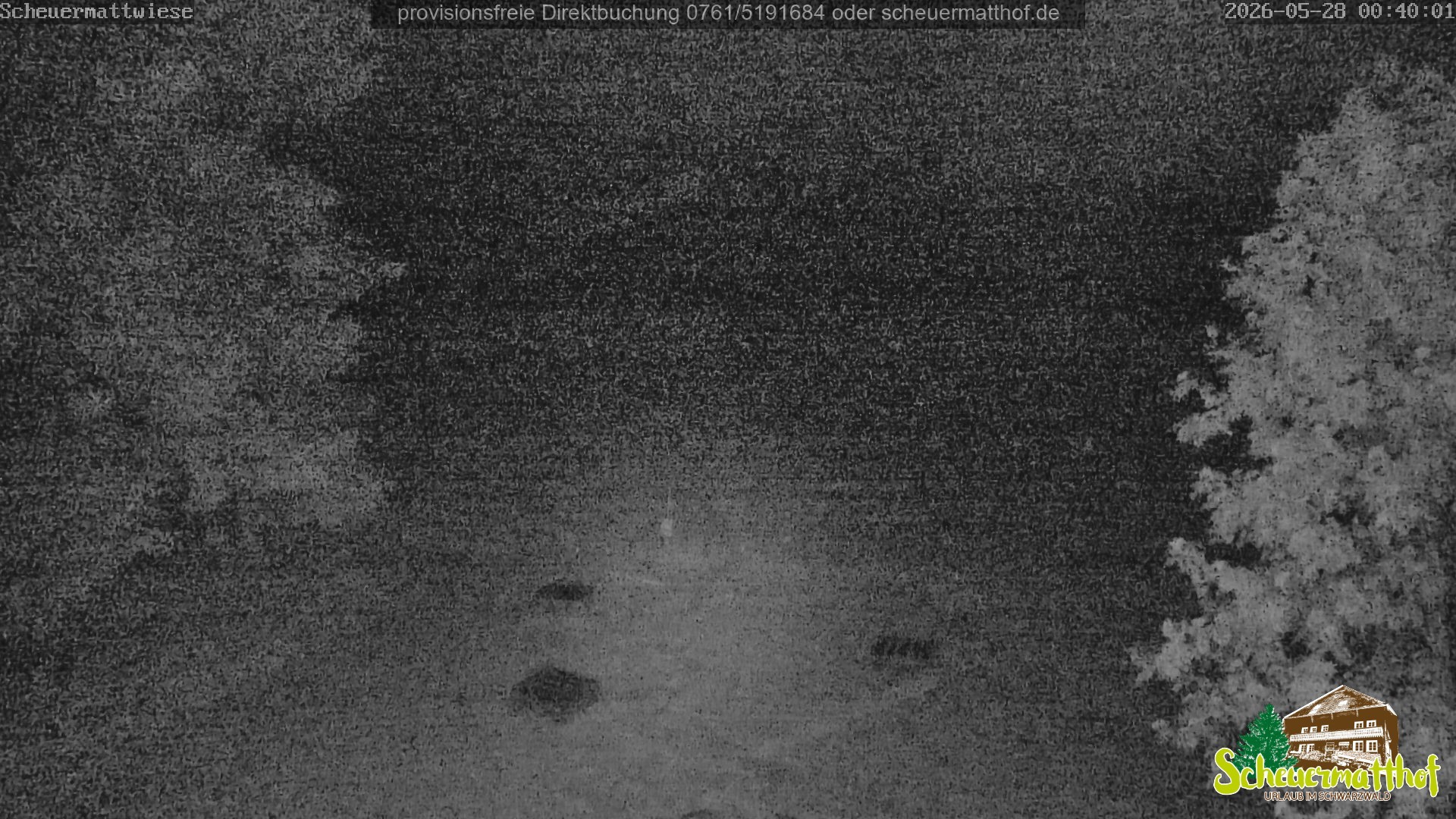 Archiv Foto Webcam Todtnauberg - Scheuermattwiese
