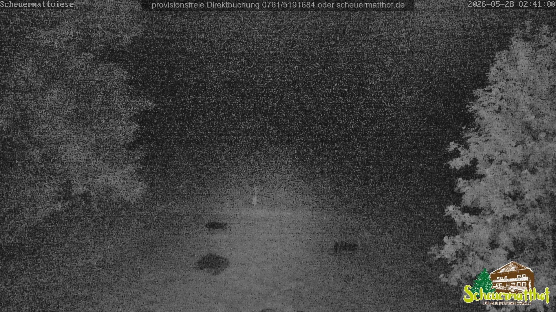 Archiv Foto Webcam Todtnauberg - Scheuermattwiese