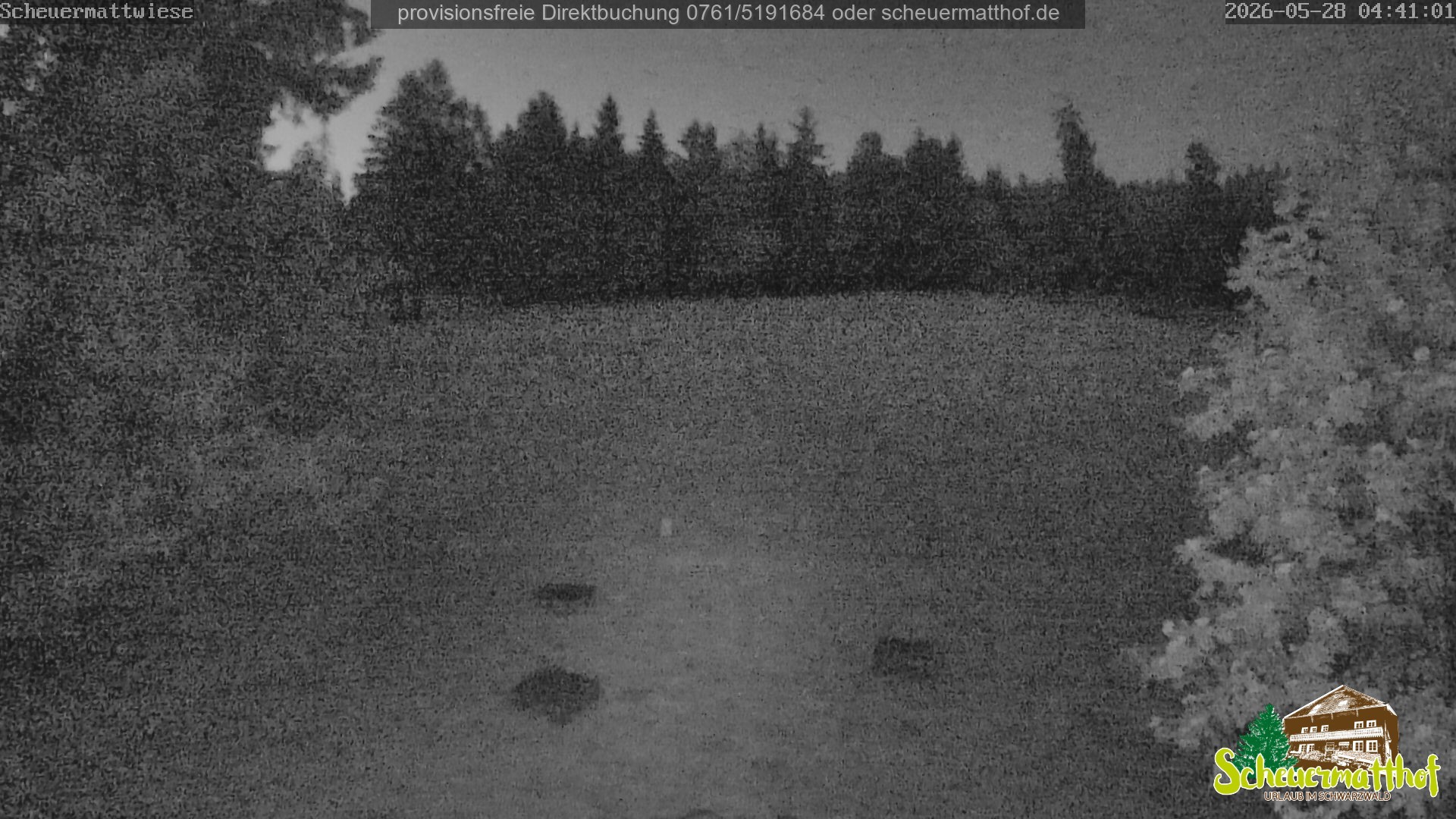 Archiv Foto Webcam Todtnauberg - Scheuermattwiese
