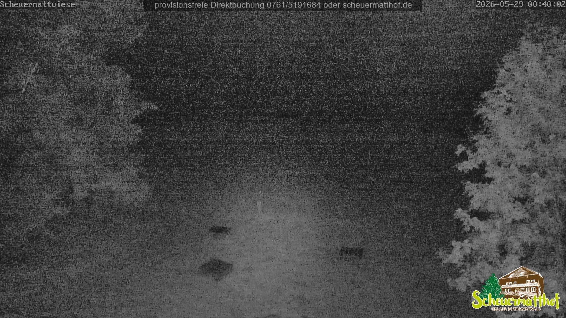 Archiv Foto Webcam Todtnauberg - Scheuermattwiese