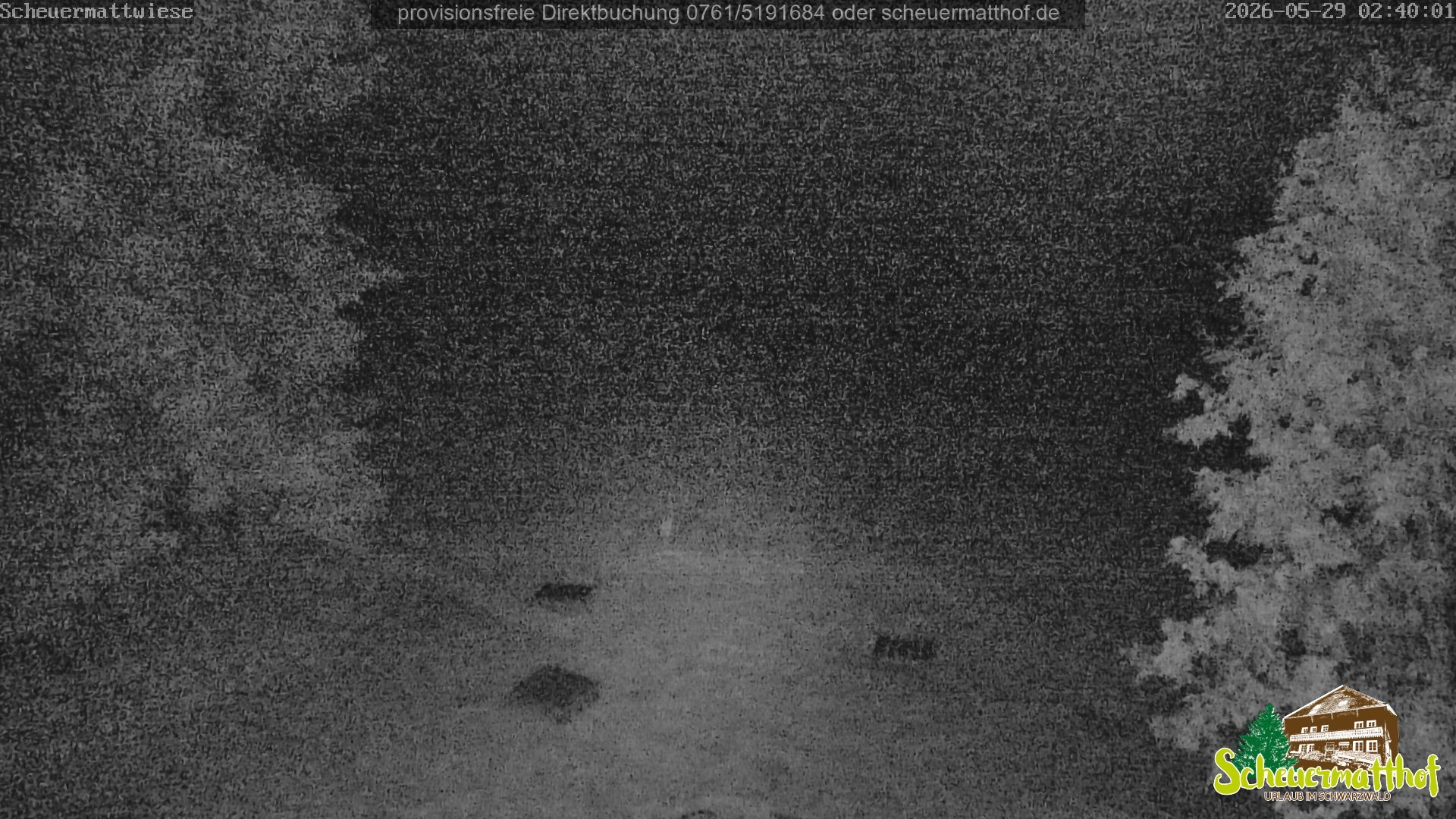 Archiv Foto Webcam Todtnauberg - Scheuermattwiese