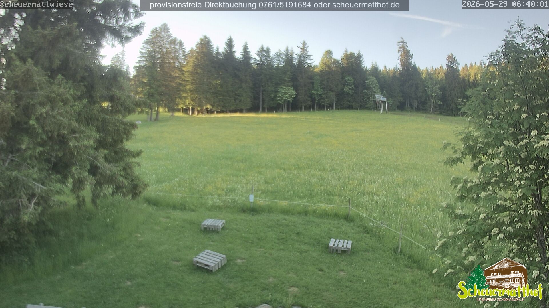 Archiv Foto Webcam Todtnauberg - Scheuermattwiese