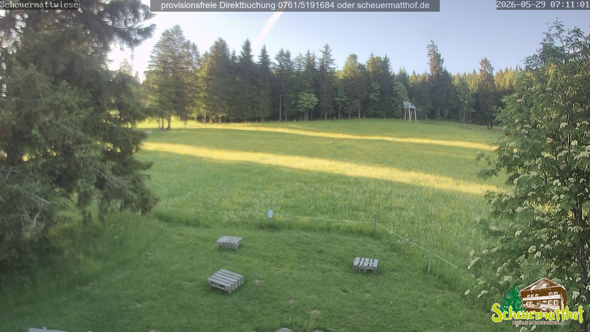 Archiv Foto Webcam Todtnauberg - Scheuermattwiese