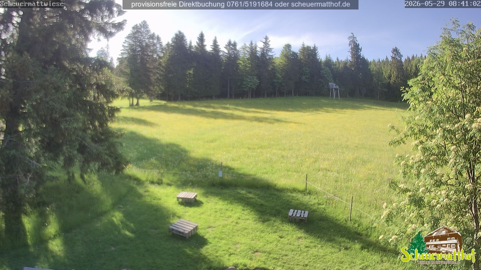 Archiv Foto Webcam Todtnauberg - Scheuermattwiese