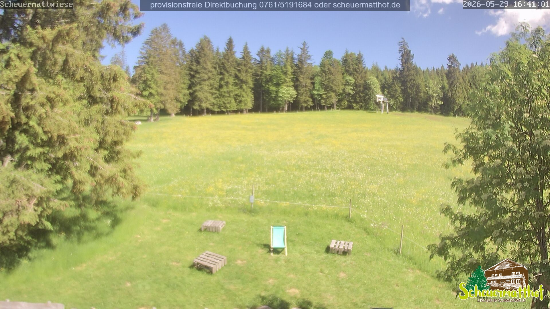 Archiv Foto Webcam Todtnauberg - Scheuermattwiese