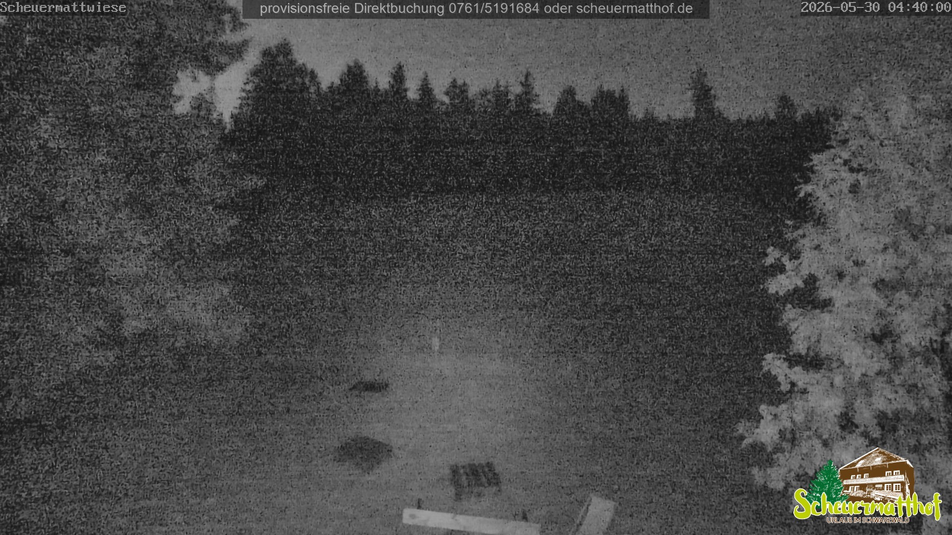 Archiv Foto Webcam Todtnauberg - Scheuermattwiese