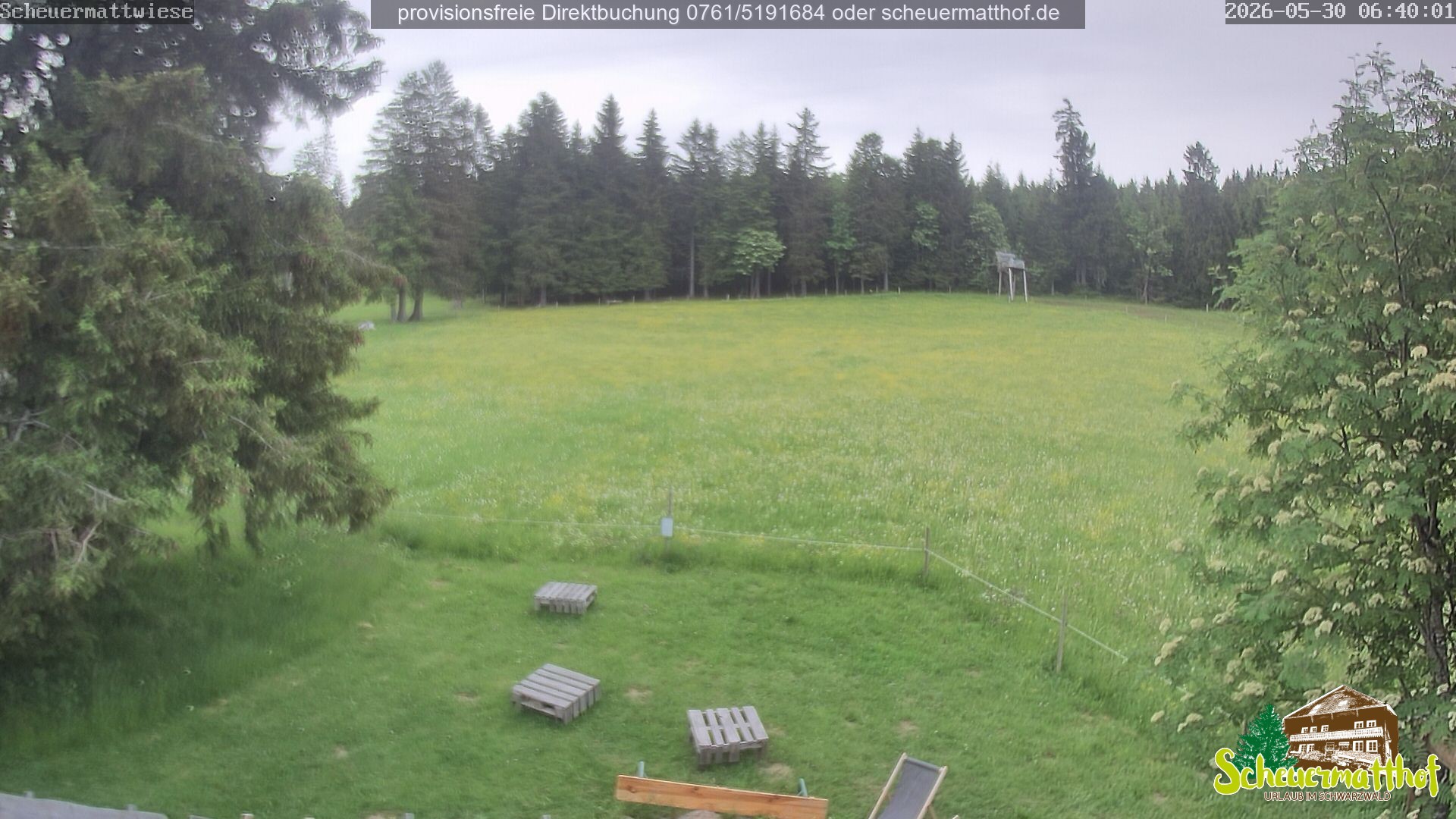 Archiv Foto Webcam Todtnauberg - Scheuermattwiese