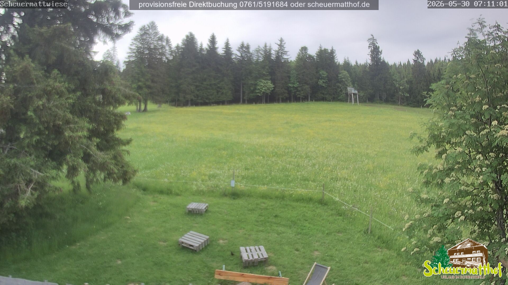 Archiv Foto Webcam Todtnauberg - Scheuermattwiese