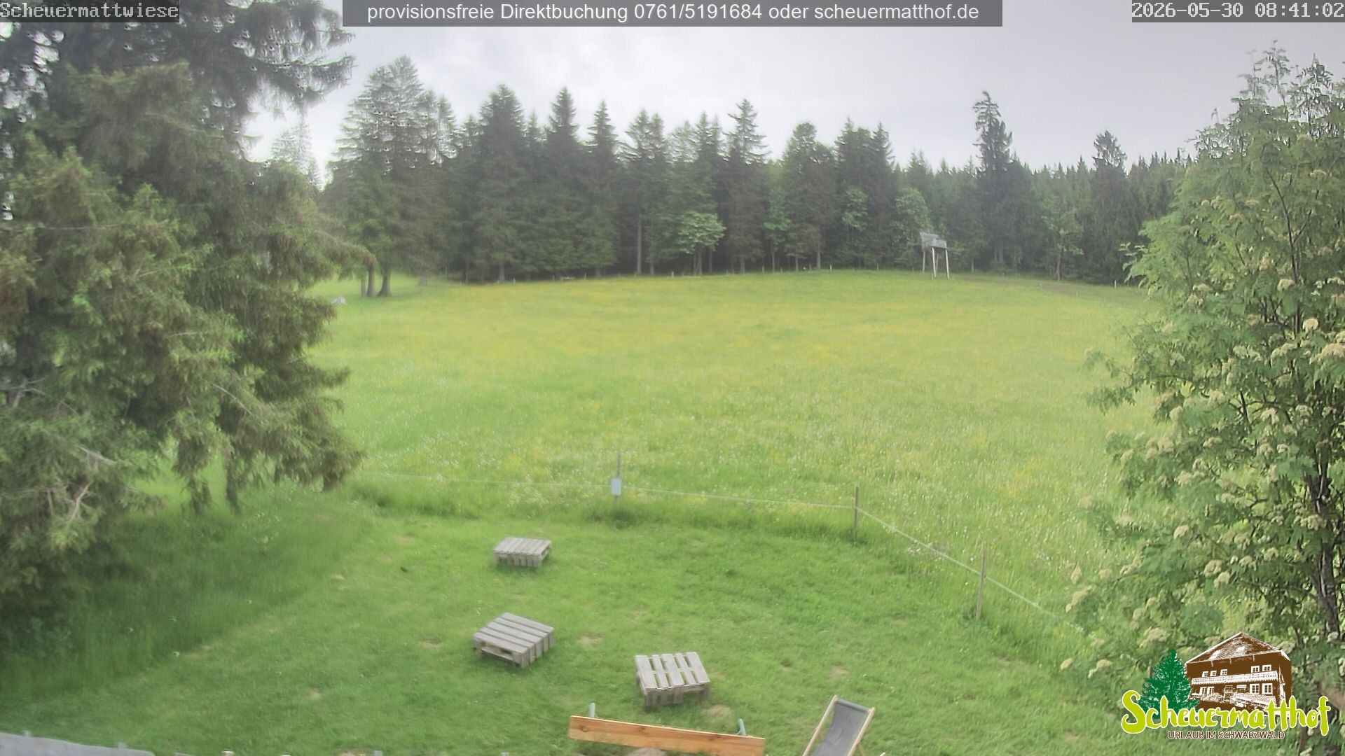 Archiv Foto Webcam Todtnauberg - Scheuermattwiese