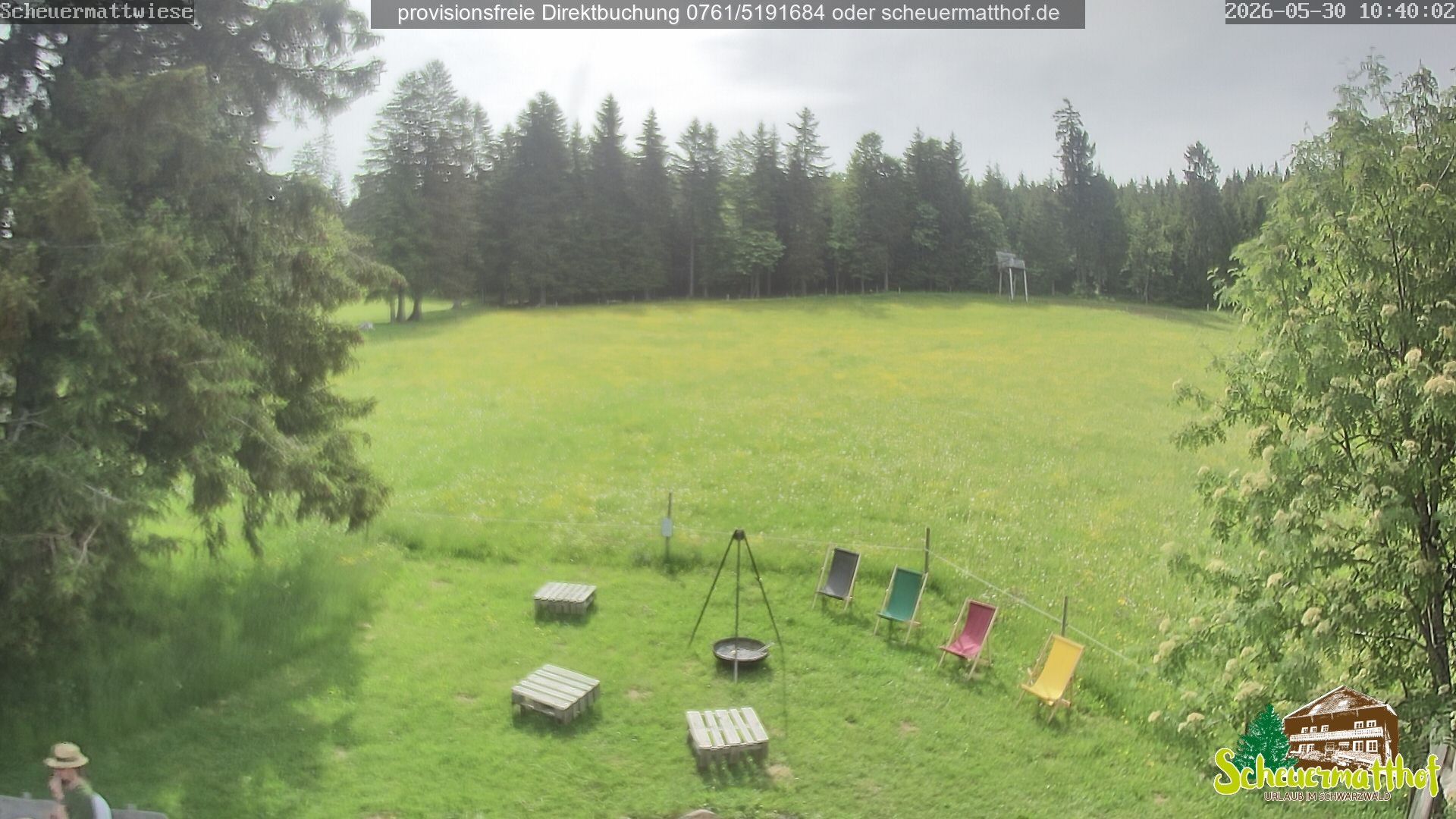 Archiv Foto Webcam Todtnauberg - Scheuermattwiese