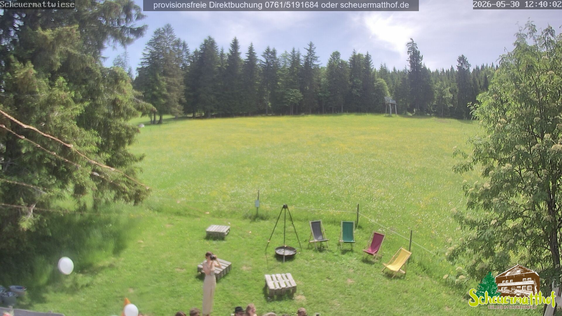 Archiv Foto Webcam Todtnauberg - Scheuermattwiese