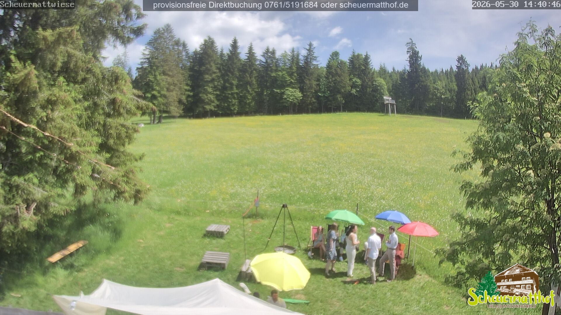Archiv Foto Webcam Todtnauberg - Scheuermattwiese