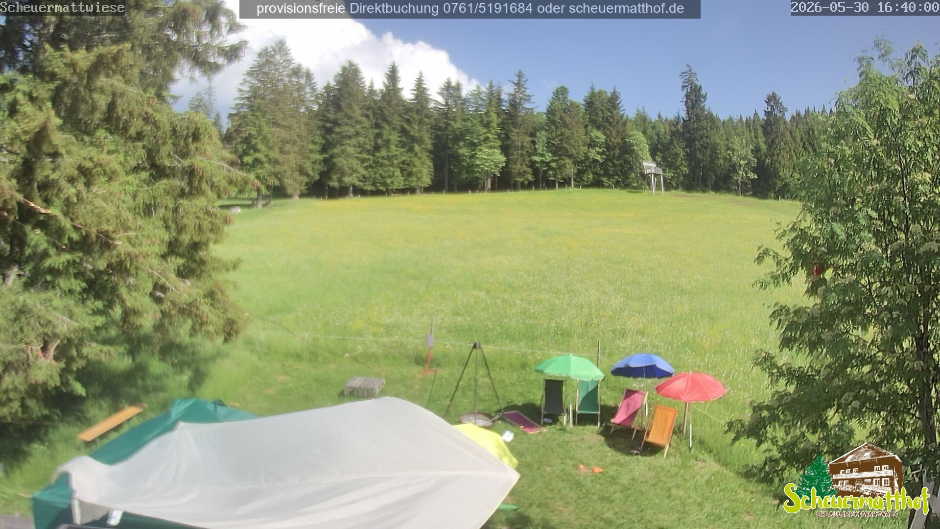 Archiv Foto Webcam Todtnauberg - Scheuermattwiese