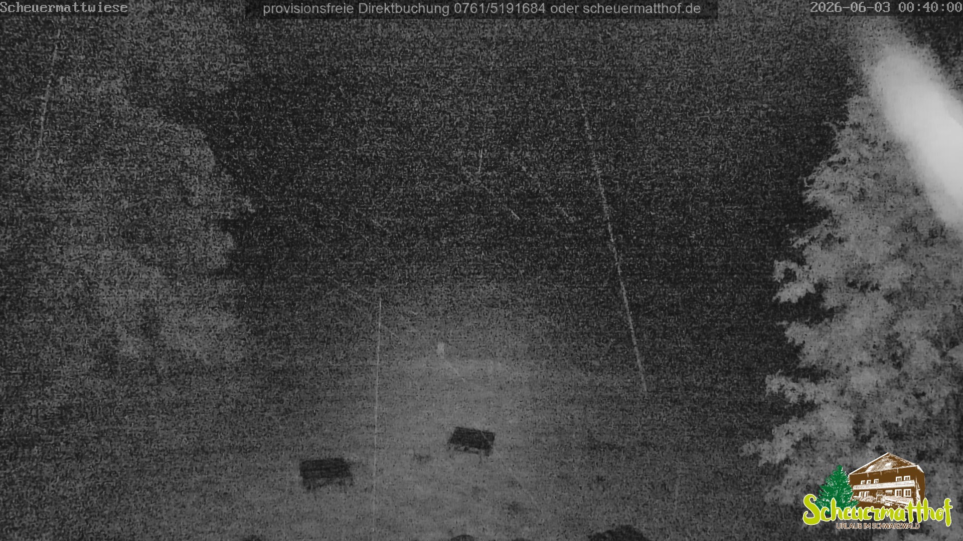 Archiv Foto Webcam Todtnauberg - Scheuermattwiese