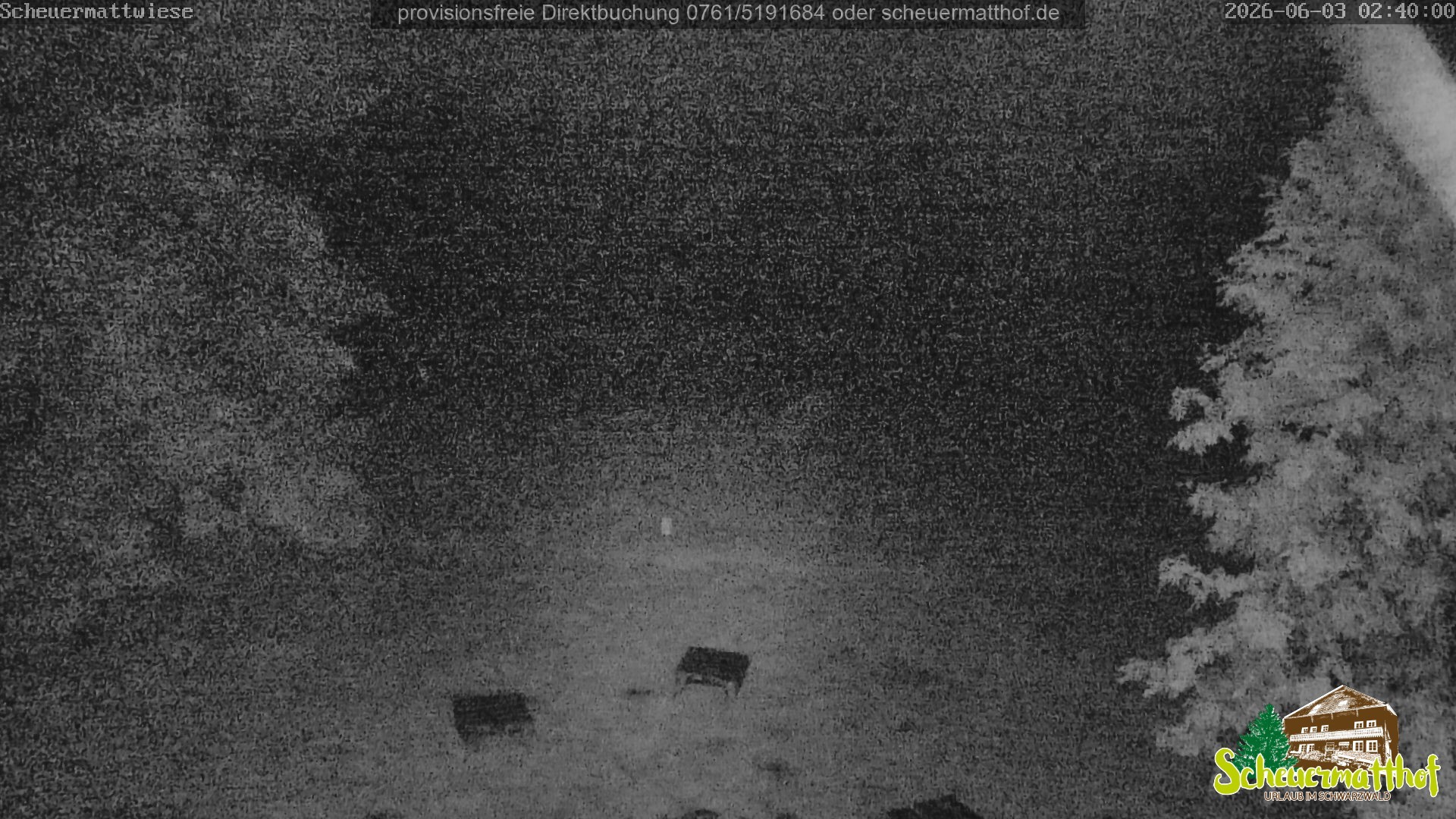 Archiv Foto Webcam Todtnauberg - Scheuermattwiese