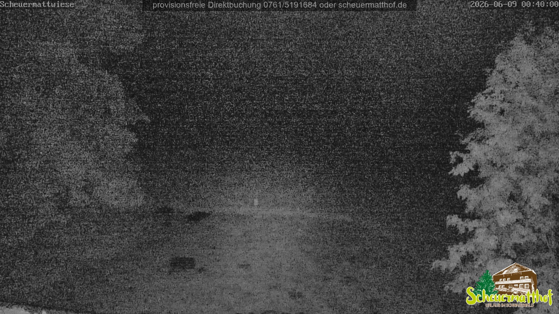 Archiv Foto Webcam Todtnauberg - Scheuermattwiese