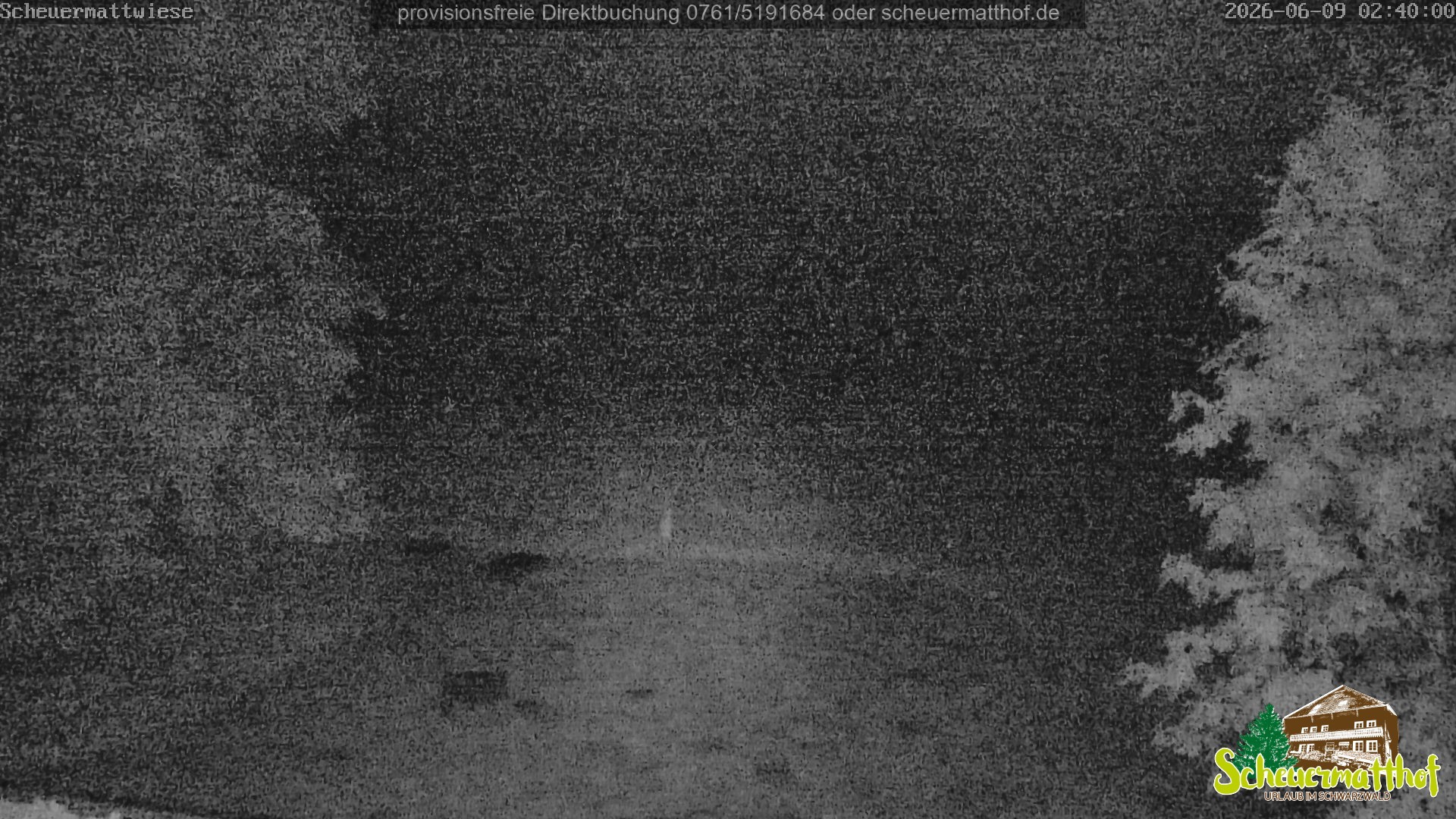 Archiv Foto Webcam Todtnauberg - Scheuermattwiese