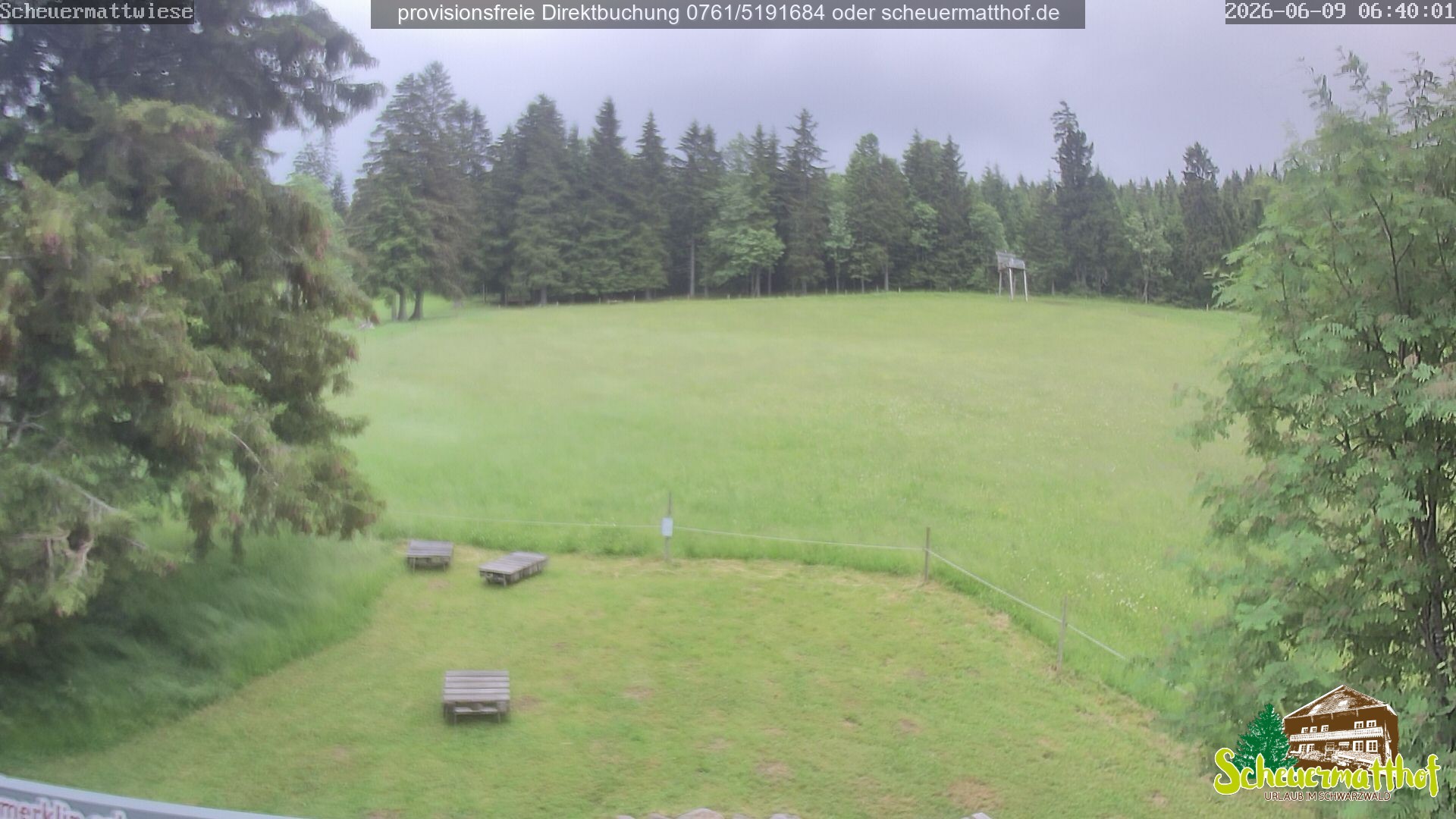 Archiv Foto Webcam Todtnauberg - Scheuermattwiese