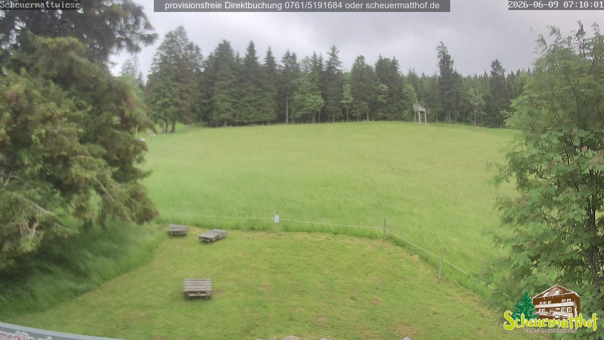 Archiv Foto Webcam Todtnauberg - Scheuermattwiese