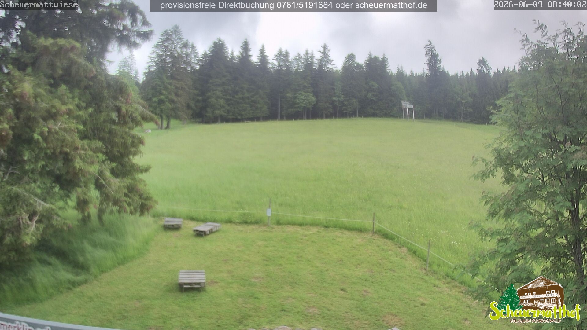 Archiv Foto Webcam Todtnauberg - Scheuermattwiese