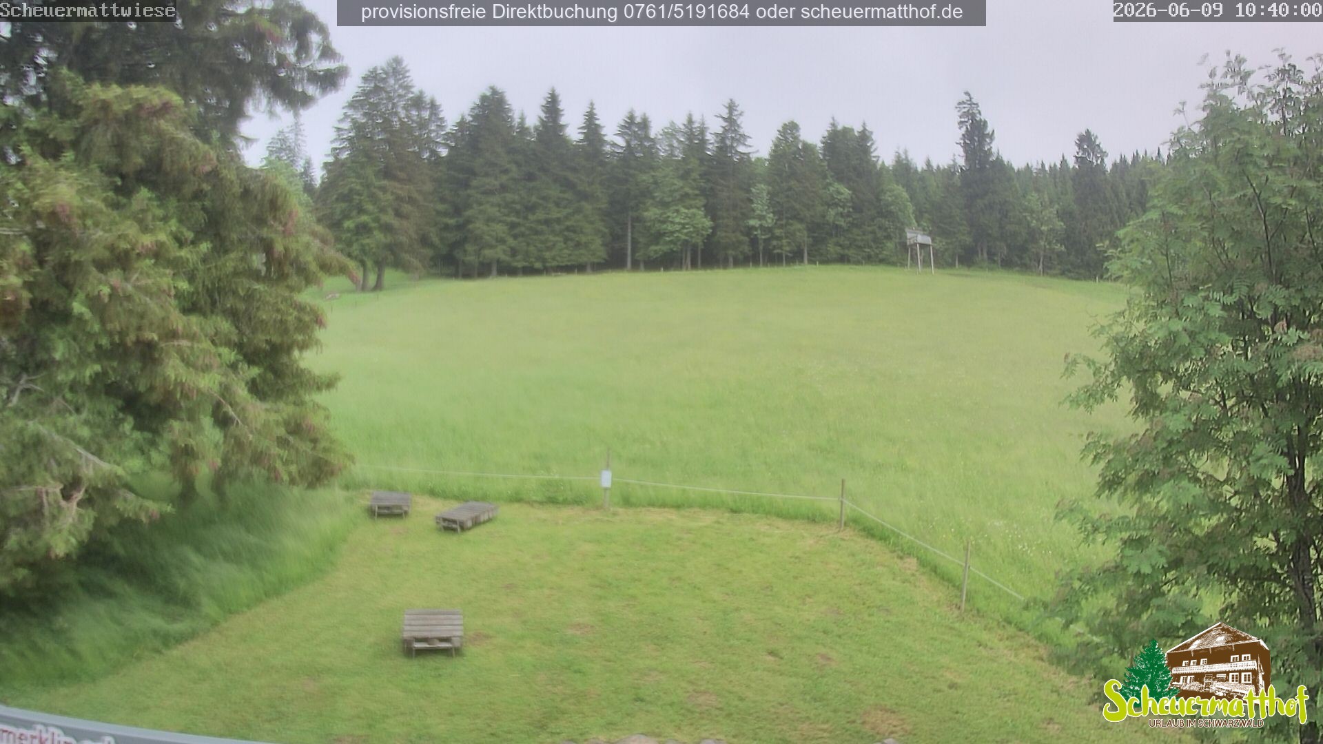 Archiv Foto Webcam Todtnauberg - Scheuermattwiese