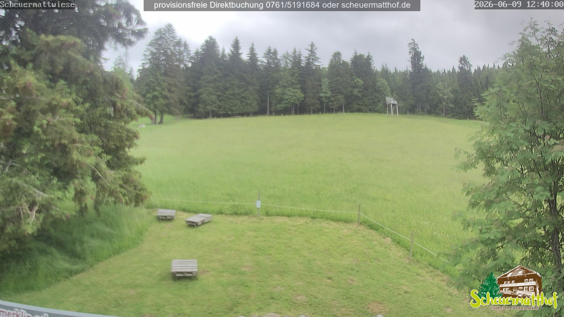 Archiv Foto Webcam Todtnauberg - Scheuermattwiese